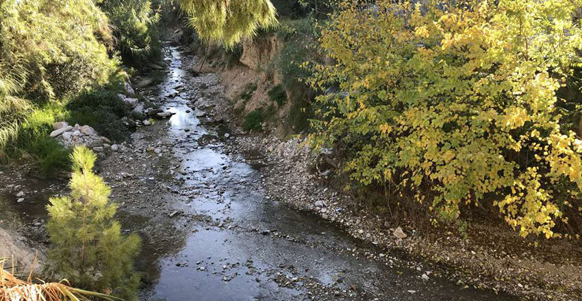 4η Γιορτή για την Πικροδάφνη - 9 Ιουνίου 2019