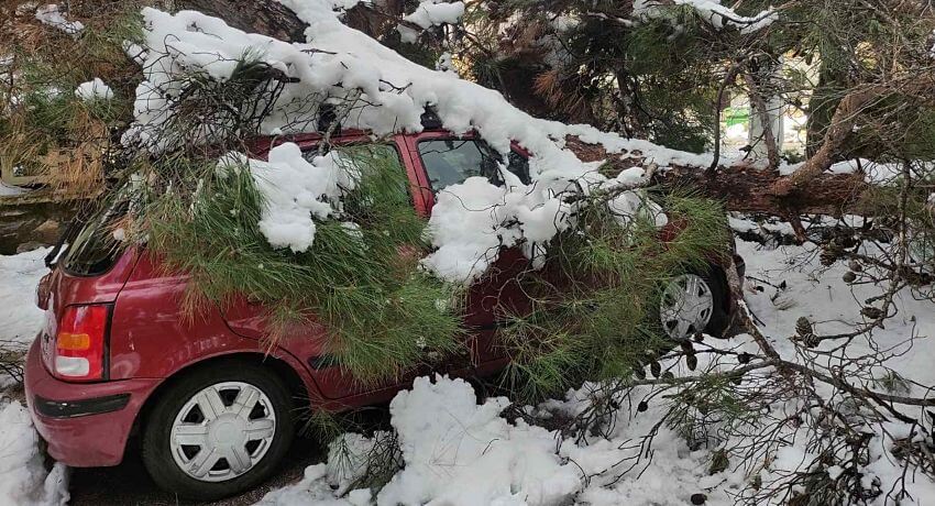 Δήμος Ηλιούπολης: Αποζημιώσεις οχημάτων από πτώσεις δέντρων