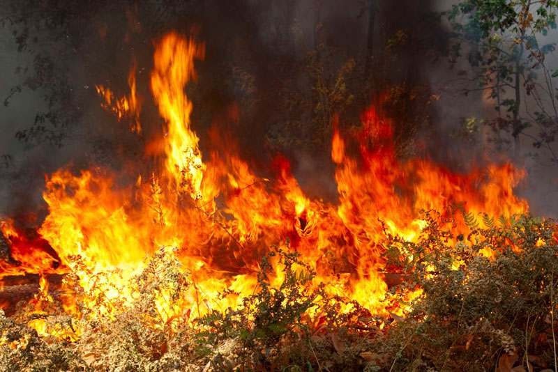 Σε κατάσταση επιφυλακής ο Δήμος Ηλιούπολης για εκδήλωση πυρκαγιάς