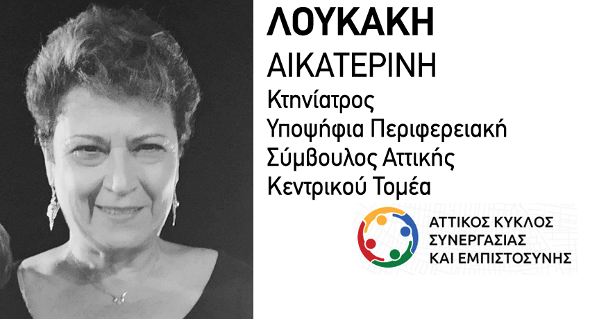 ΑΙΚΑΤΕΡΙΝΗ ΛΟΥΚΑΚΗ