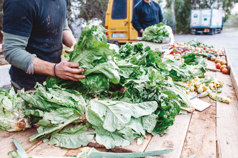 Θερινό ωράριο λειτουργίας της Αγοράς Βιοκαλλιεργητών