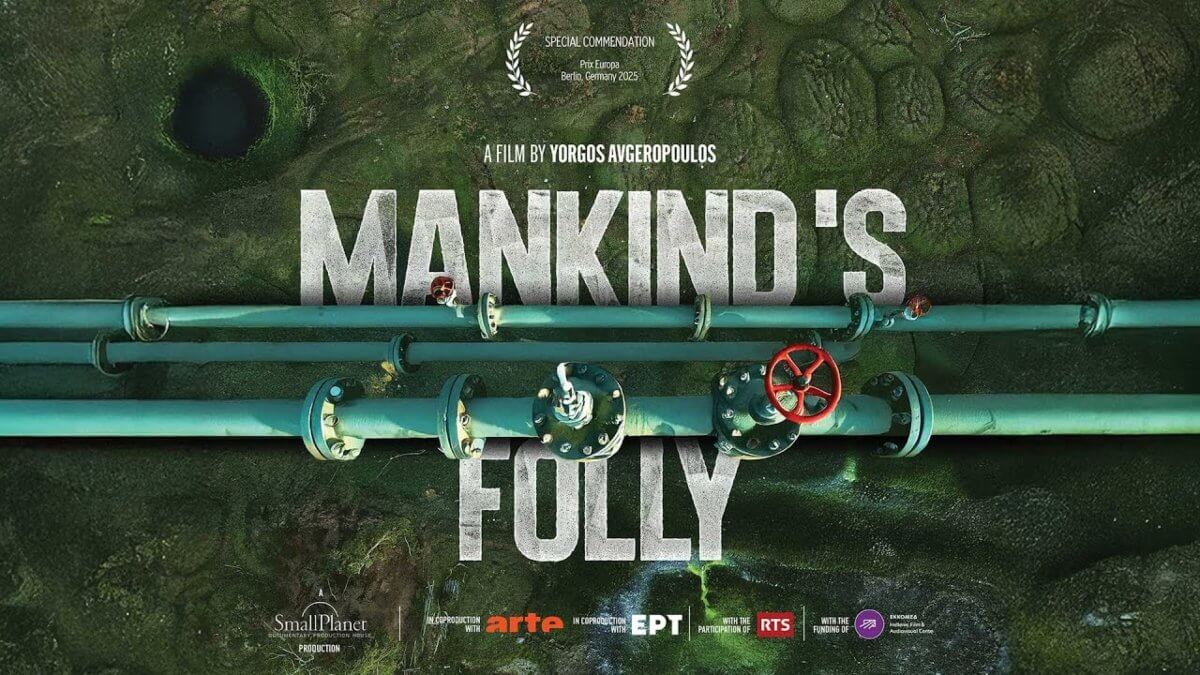 mankind-folly