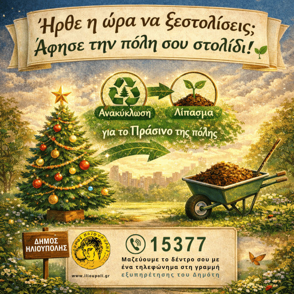 Ήρθε η ώρα να ξεστολίσεις; «Άφησε την πόλη σου στολίδι!» Ήρθε η ώρα να ξεστολίσεις; «Άφησε την πόλη σου στολίδι!»