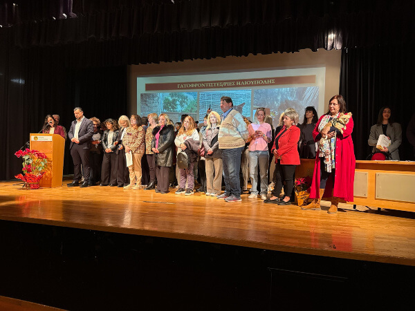 Οι γατοφροντιστές/ριες της πόλης