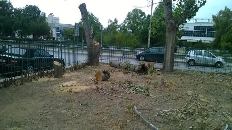Απάντηση στην ανακοίνωση του Δημάρχου Ηλιούπολης για την υλοτομία δέντρων στο πάρκο Τζαβέλλα