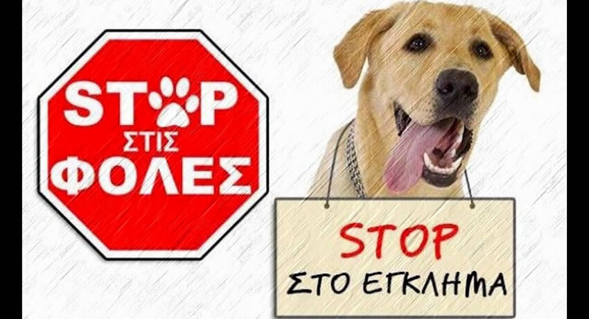 Δήμος Ηλιούπολης: Ανακοίνωση για τις φόλες που δηλητηρίασαν ζώα